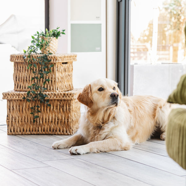 Zero VOC – what does it mean?