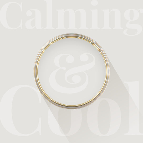 Overhead shot of a tin of Snowdrop from Zhoosh Paints.