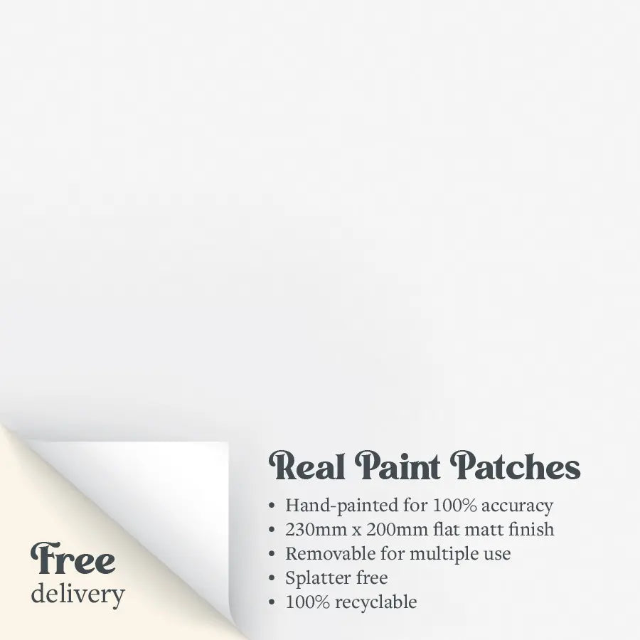 A sample paint patch of Zhoosh's Morning Frost, a brilliant white paint in flat matt.