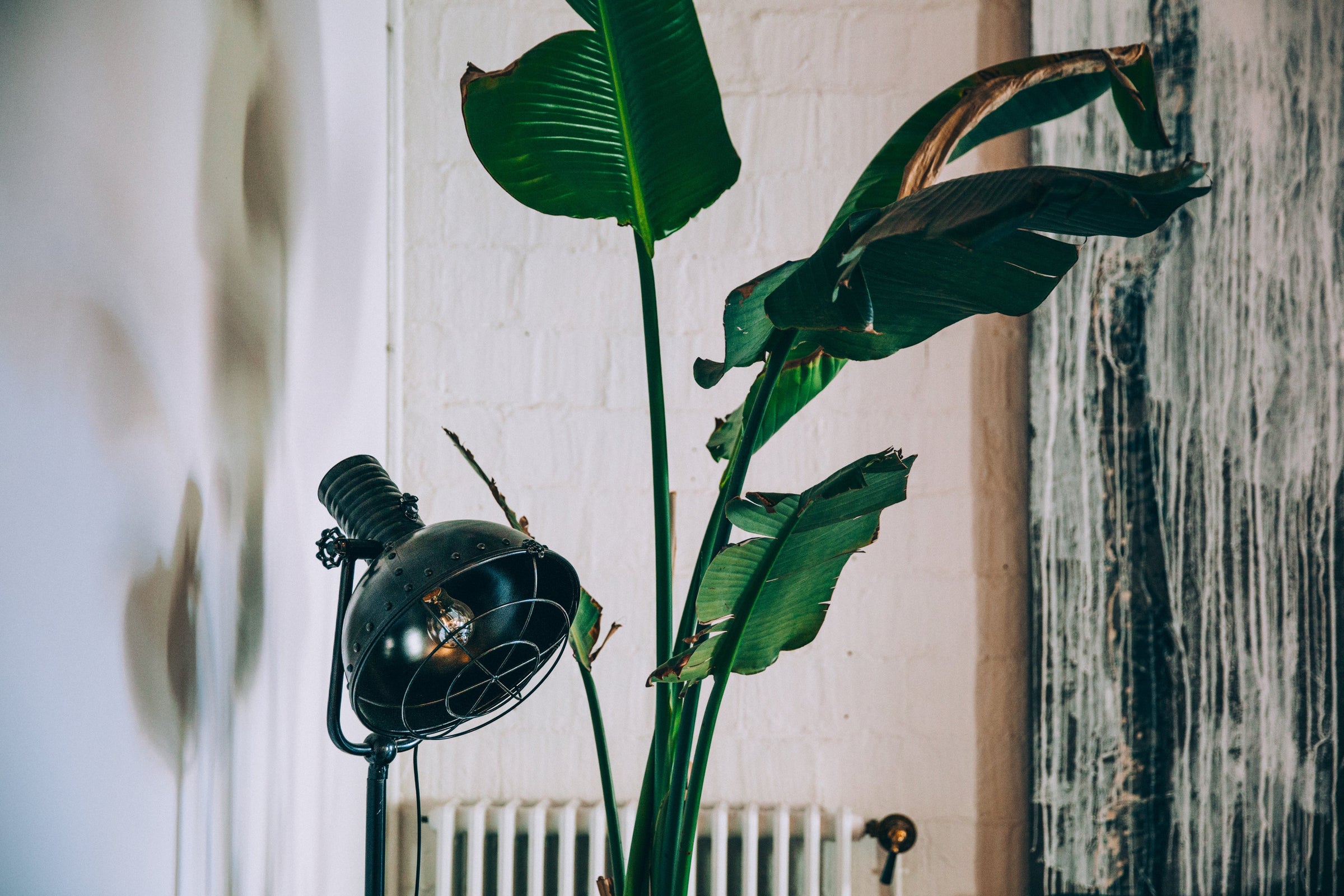 Bringing the outdoors in