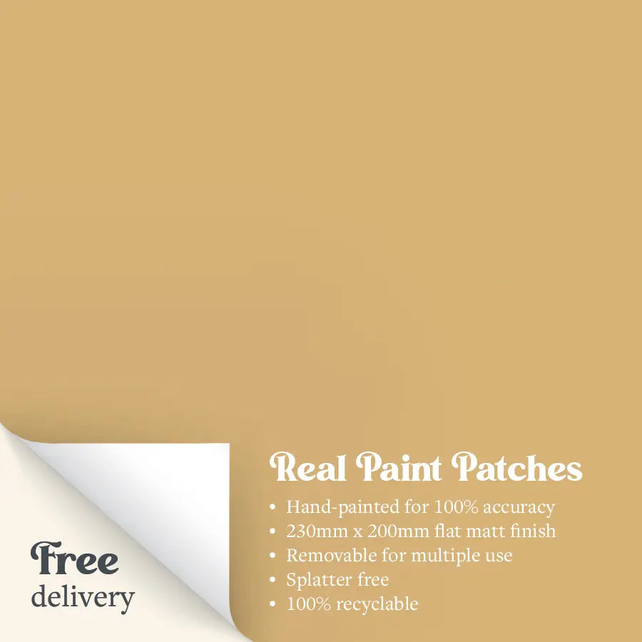 A Real Paint Patch in flat matt Beehive yellow from Zhoosh Paints