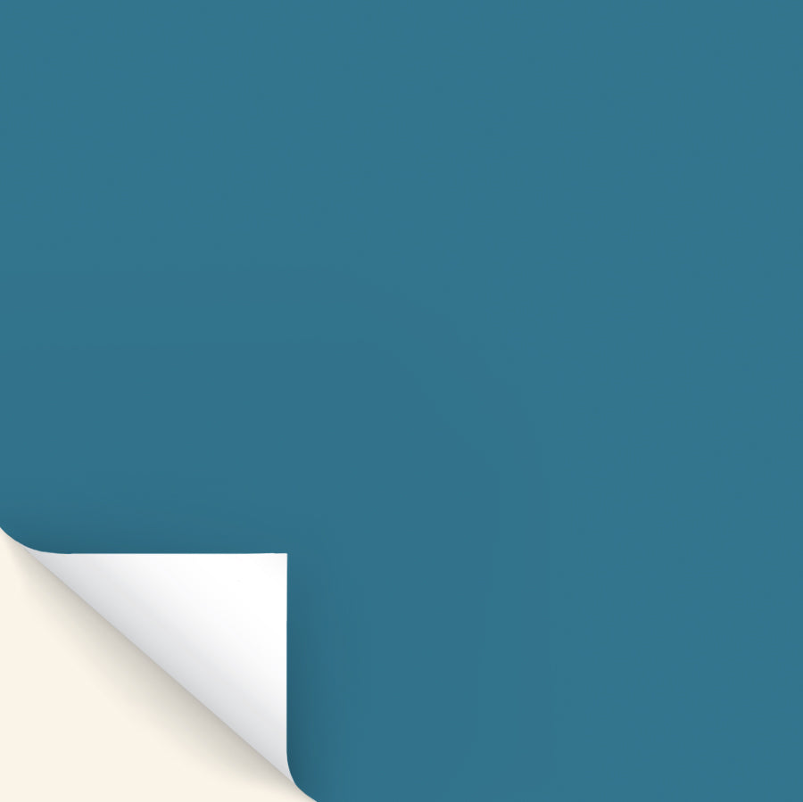 Babbling Brook Sample Paint Patch | Zhoosh Paints