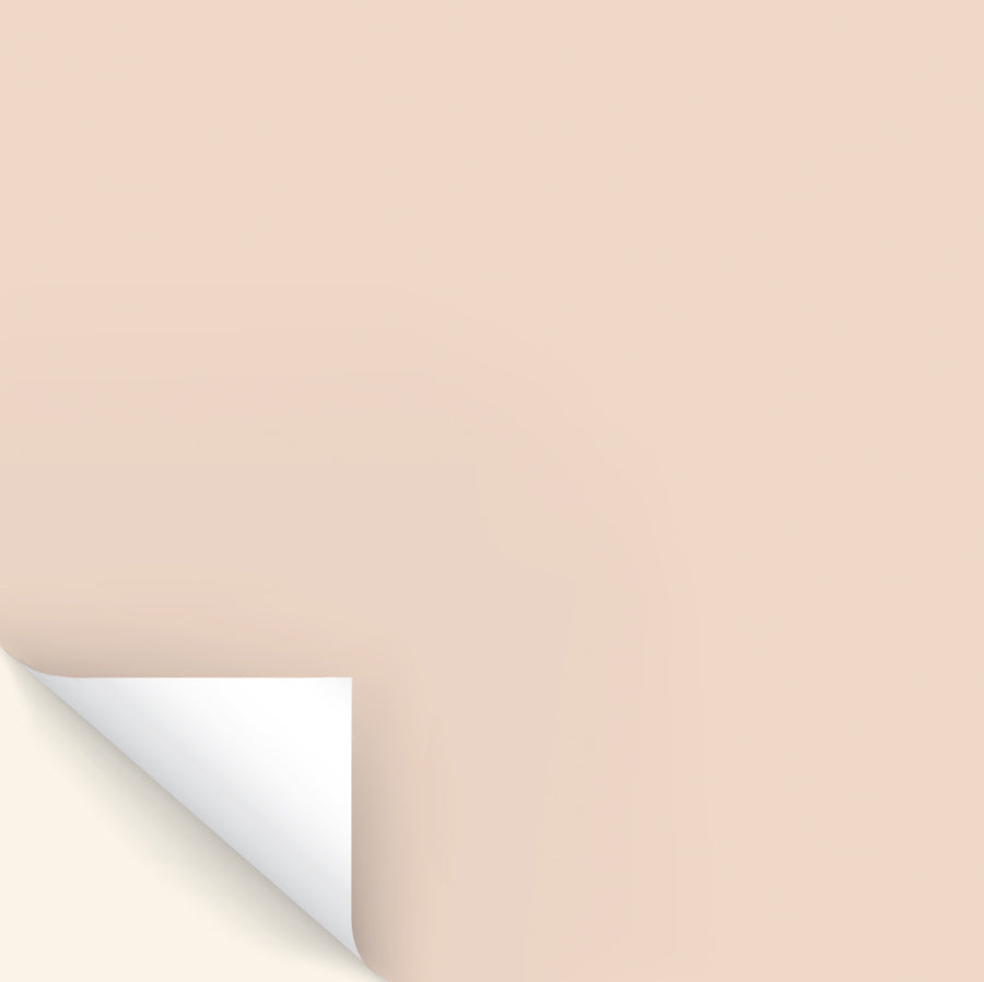 Rosebud Sample Paint Patch | Zhoosh Paints