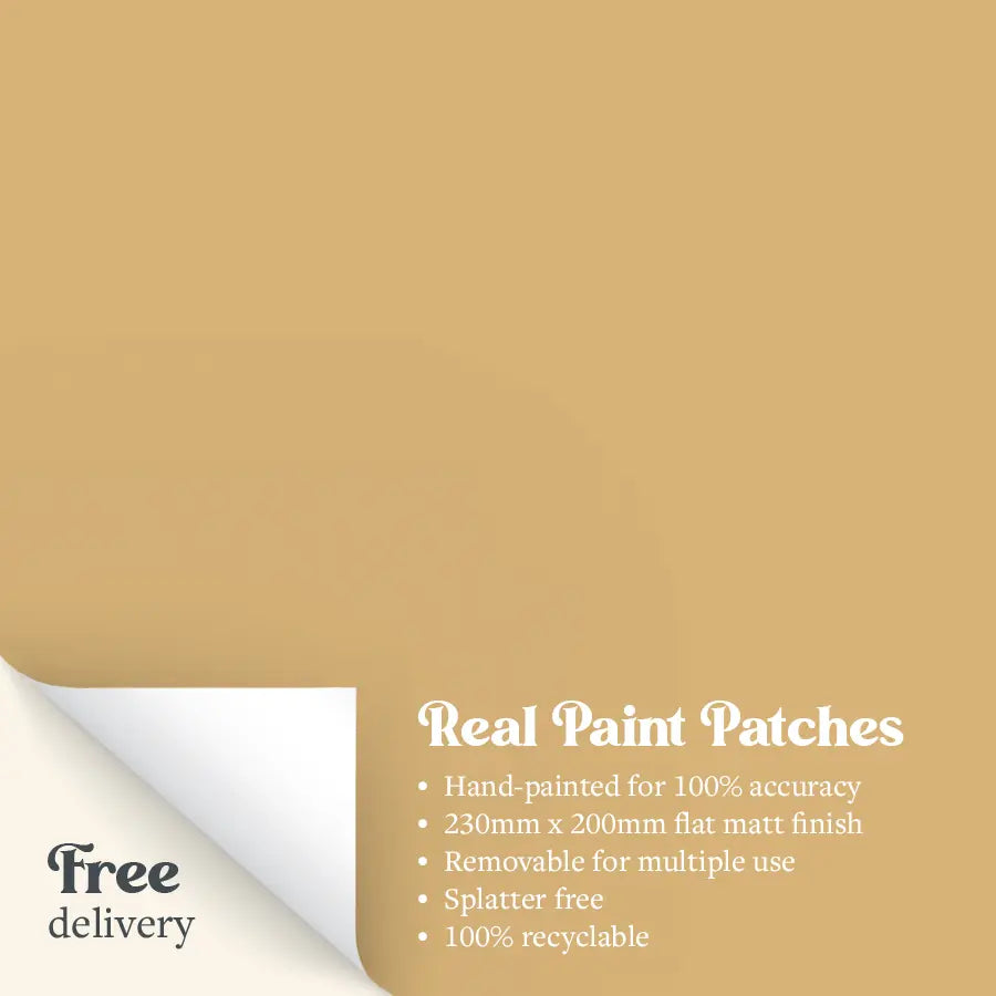 A Real Paint Patch in Beehive yellow from Zhoosh Paints