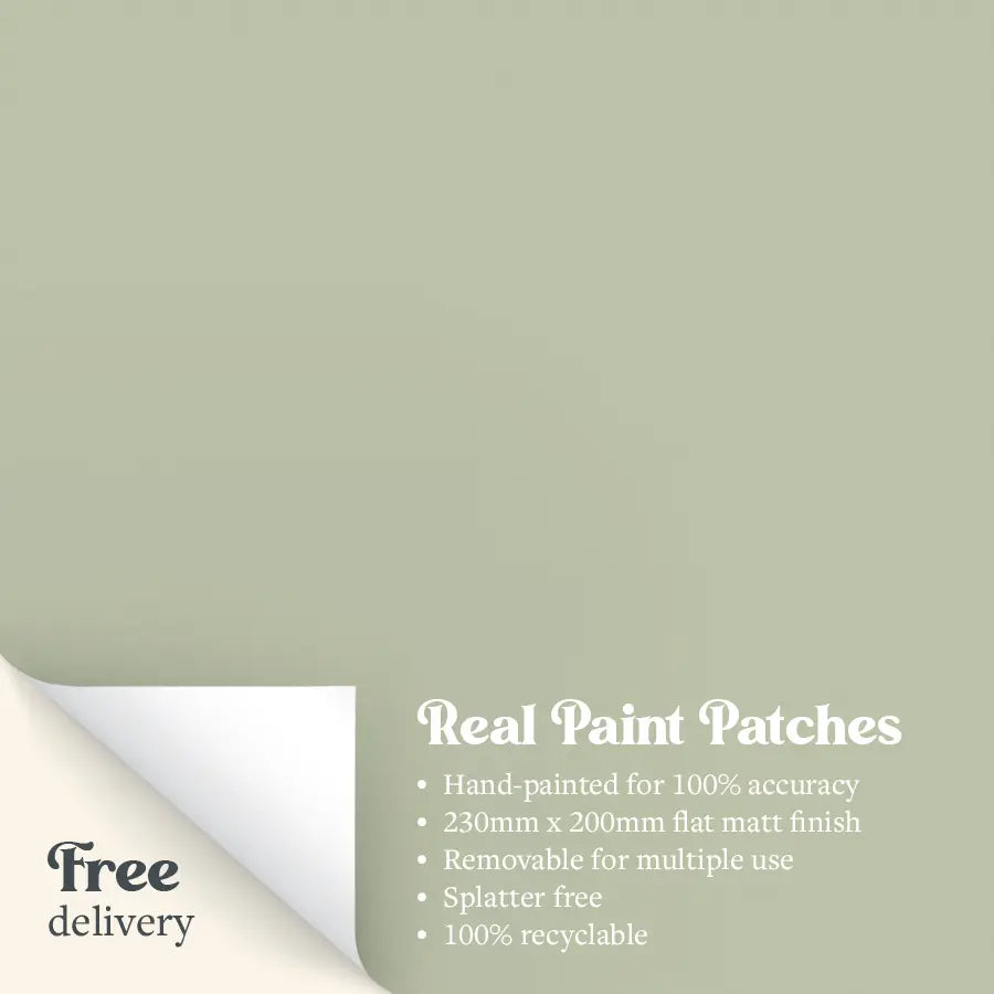 A sample paint patch of Zhoosh's Bird Song green pastel paint flat matt. 