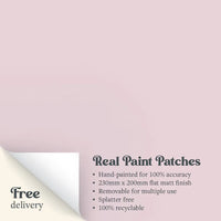 A Real Paint Patch of Zhoosh Paints' Quiet Meadow pink paint, with text outlining the benefits.