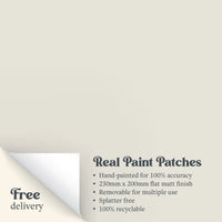 A Real Paint Patch of Zhoosh Paints' Sandy Toes beige paint.