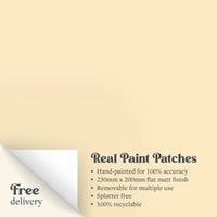 A Real Paint Patch of Zhoosh Paints' Spring Flowers yellow paint, with text outlining the benefits.