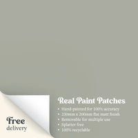 A Real Paint Patch of Zhoosh Paints' Through the Mist grey paint, with text outlining the benefits