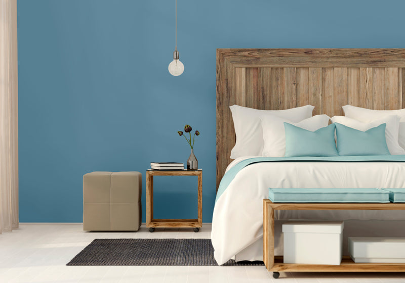 Reggae Blue (Morning Dip) Paint for Walls & Ceilings