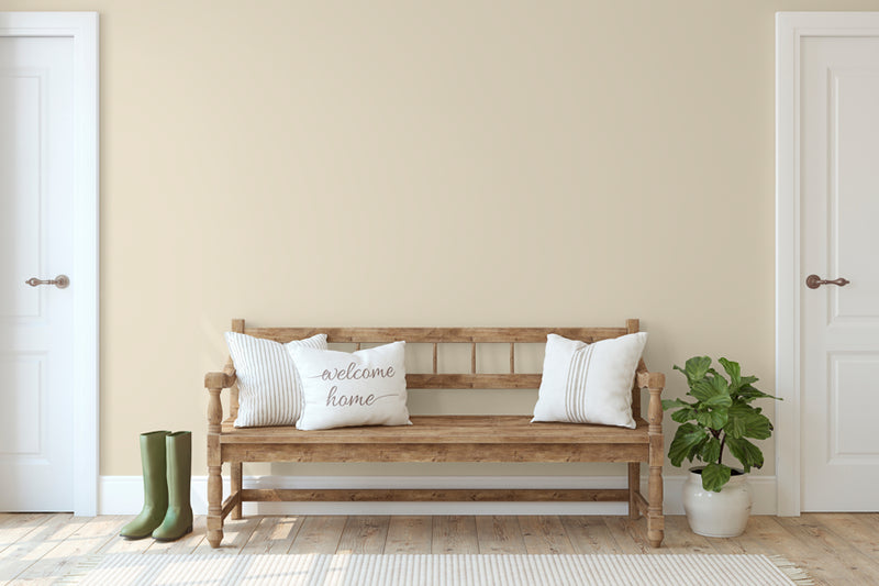 Soulful Beige (Drifting) Paint for Walls & Ceilings
