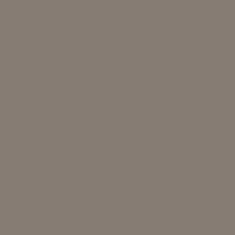 Hip Hop Grey paint shade