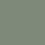 Reggae Green paint shade