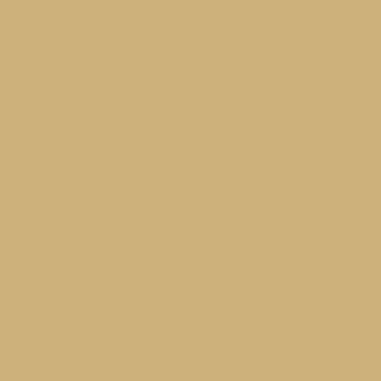Rhythmic Yellow paint shade