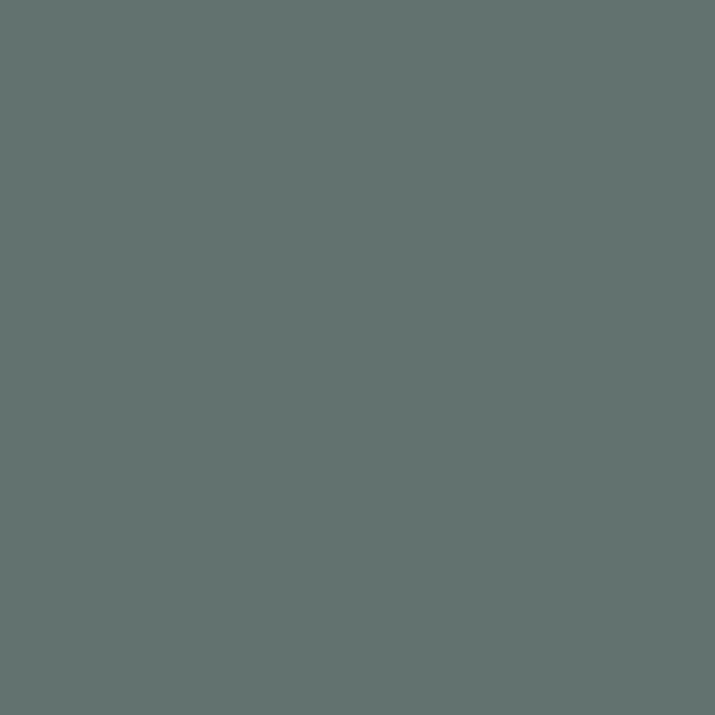 Soulful Green paint shade