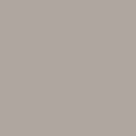 World Grey paint shade